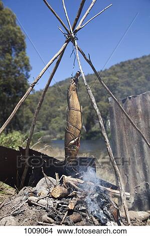 A fish cooking over a campfire View Large Photo Image Picture - A fish cooking over a campfire. Fotosearch