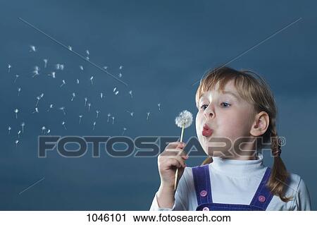 A girl blowing on a dandelion View Large Photo Image Stock Image - A girl blowing on a dandelion. Fotosearch