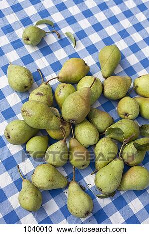 A heap of freshly picked pears on a checked tablecloth View Large Photo Image Stock Image - A heap of freshly picked pears on a checked tablecloth. Fotosearch