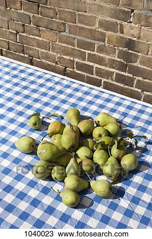 A heap of freshly picked pears on a checked tablecloth View Large Photo Image Stock Image - A heap of freshly picked pears on a checked tablecloth. Fotosearch