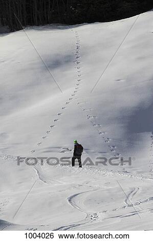 A hiker in the snow, Sedrun, Graubunden, Switzerland View Large Photo Image Stock Photograph - A hiker in the snow, Sedrun, Graubunden, Switzerland. Fotosearch