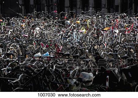 A large group of parked bicycles View Large Photo Image Stock Image - A large group of parked bicycles. Fotosearch