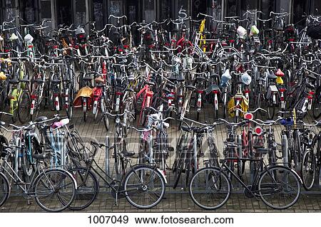 A large group of parked bicycles View Large Photo Image Stock Photo - A large group of parked bicycles. Fotosearch