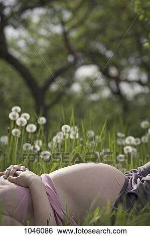 A pregnant woman lying in the grass, midsection View Large Photo Image Stock Photograph - A pregnant woman lying in the grass, midsection. Fotosearch