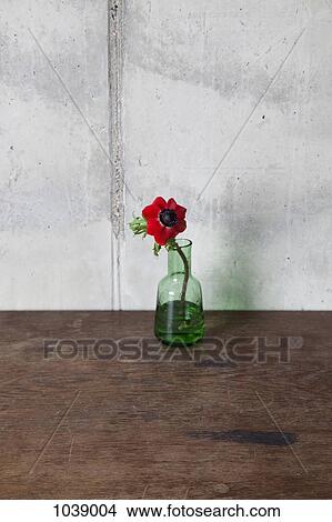 A red flower in a vase View Large Photo Image Picture - A red flower in a vase. Fotosearch