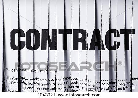 A shredded employment contract, close-up View Large Photo Image Stock Image - A shredded employment contract, close-up. Fotosearch
