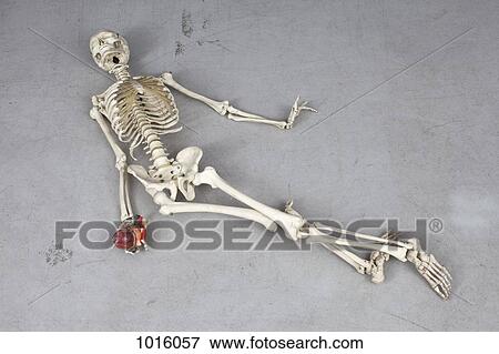 Stock Illustration - A skeleton in the death pose.. Fotosearch