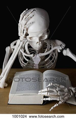 A skeleton reading a book View Large Photo Image Picture - A skeleton reading a book. Fotosearch