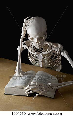 A skeleton reading a book View Large Photo Image Stock Image - A skeleton reading a book. Fotosearch