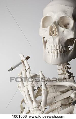 A skeleton smoking a cigarette View Large Photo Image Stock Photograph - A skeleton smoking a cigarette. Fotosearch