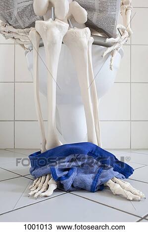 Stock Image - A skeleton using a toilet, low section. Fotosearch