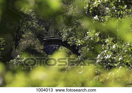 A stone bridge seen through tree leaves View Large Photo Image Stock Image - A stone bridge seen through tree leaves. Fotosearch