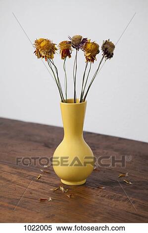A vase of dried flowers View Large Photo Image Stock Photography - A vase of dried flowers. Fotosearch