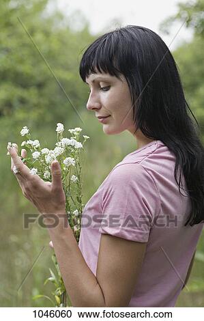 A woman admiring a bunch of wildflowers she's holding View Large Photo Image Stock Image - A woman admiring a bunch of wildflowers she's holding. Fotosearch