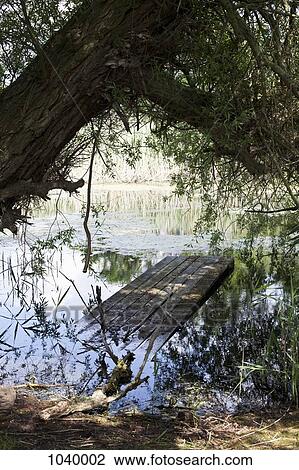 Stock Image - A wood dock sinking in the water. Fotosearch