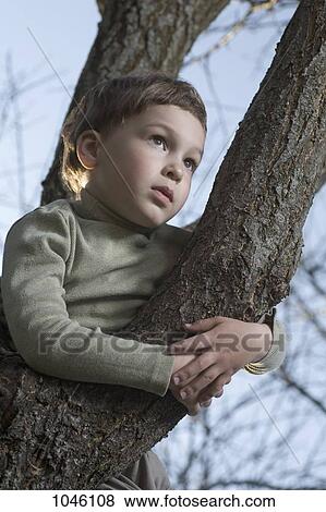 A young boy in a tree looking off in the distance View Large Photo Image Stock Photo - A young boy in a tree looking off in the distance. Fotosearch