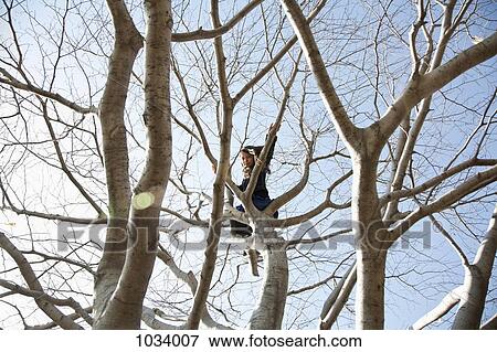 Stock Photo - A young girl sitting high up in a tree. Fotosearch
