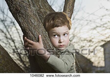 A young scared looking boy holding on to a tree branch View Large Photo Image Stock Image - A young scared looking boy holding on to a tree branch. Fotosearch