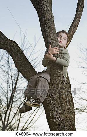 An unhappy boy sitting in a tree gripping a branch View Large Photo Image Picture - An unhappy boy sitting in a tree gripping a branch. Fotosearch