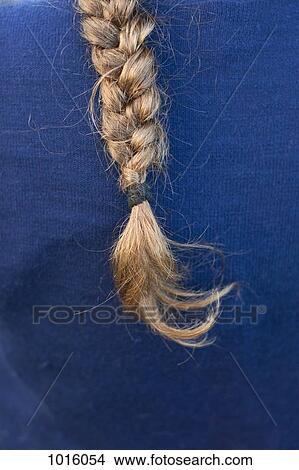 Picture - Back of ponytail.. Fotosearch
