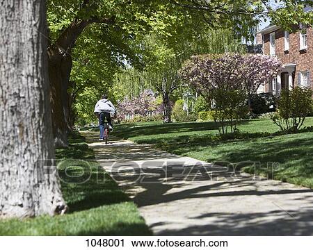 Stock Image - Back view of boy in the distance riding bike. Fotosearch