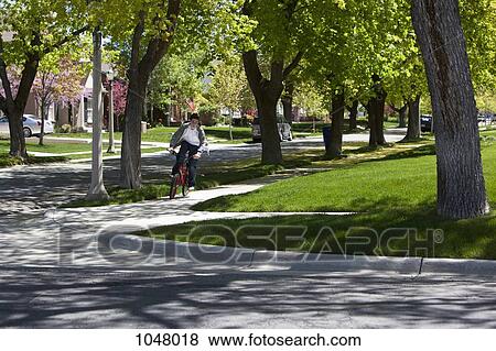 Boy riding bike on footpath among roadside trees View Large Photo Image Stock Photo - Boy riding bike on footpath among roadside trees. Fotosearch