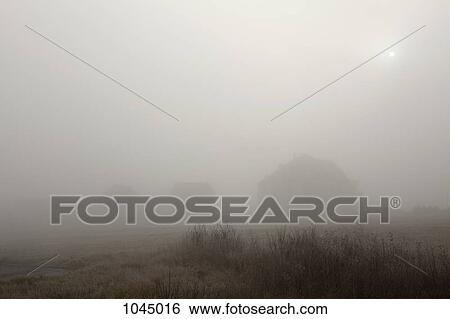 Buildings in a misty field View Large Photo Image Stock Photograph - Buildings in a misty field. Fotosearch