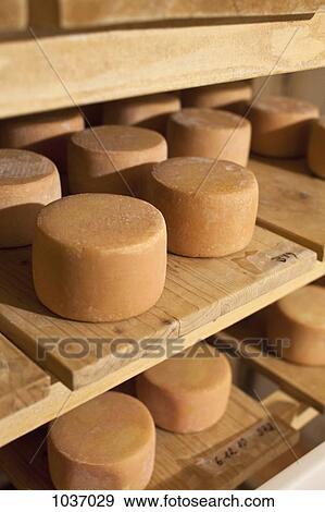 Cheese wheels on shelves View Large Photo Image Stock Photo - Cheese wheels on shelves. Fotosearch