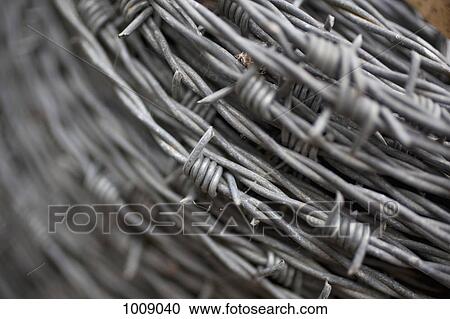 Detail of a coil of barbed wire View Large Photo Image Stock Image - Detail of a coil of barbed wire. Fotosearch