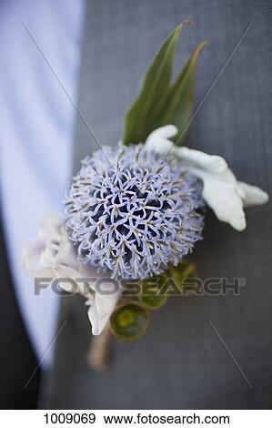 Detail of a corsage on the lapel of a man View Large Photo Image Stock Photo - Detail of a corsage on the lapel of a man. Fotosearch