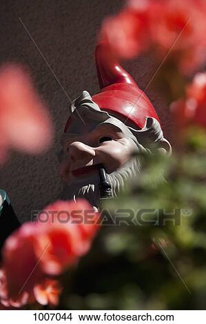 Detail of a garden gnome View Large Photo Image Picture - Detail of a garden gnome. Fotosearch