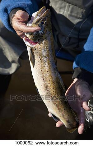 Detail of a man holding a fish View Large Photo Image Stock Image - Detail of a man holding a fish. Fotosearch