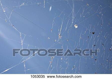 Detail of a spider web View Large Photo Image Stock Photography - Detail of a spider web. Fotosearch
