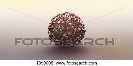 Digitally created influenza virus particle View Large Illustration Stock Illustration - Digitally created influenza virus particle. Fotosearch