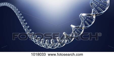 DNA strand View Large Illustration Drawing - DNA strand. Fotosearch