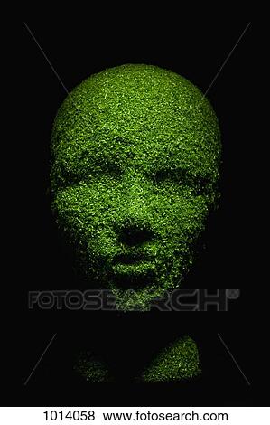 Stock Photo - Dummy head made of grass. Fotosearch