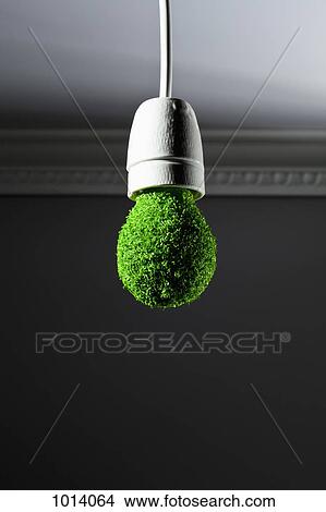 Picture - Energy saving light bulb covered in grass and hanging from ceiling. Fotosearch