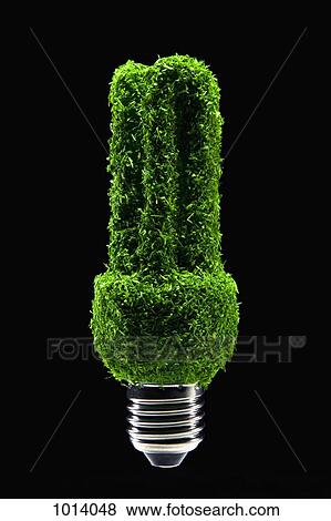 Energy saving light bulb covered in green grass View Large Photo Image Stock Photo - Energy saving light bulb covered in green grass. Fotosearch
