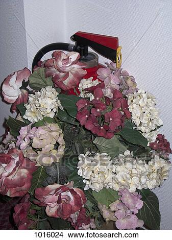 Fire extinguisher hidden by flowers. View Large Photo Image Picture - Fire extinguisher hidden by flowers.. Fotosearch