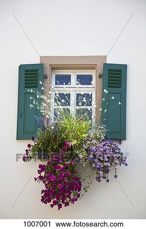 Stock Image - Flowers below a window with shutters. Fotosearch