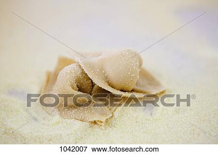 Stock Photo - Fresh tortellini pasta. Fotosearch