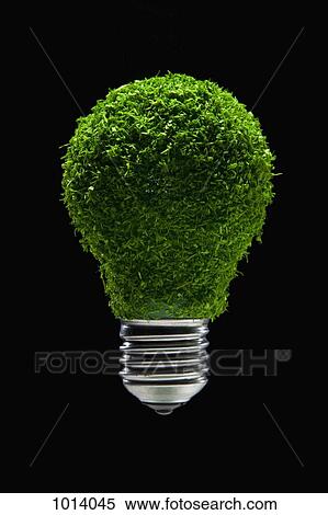 Green grass covered light bulb View Large Photo Image Stock Photography - Green grass covered light bulb. Fotosearch
