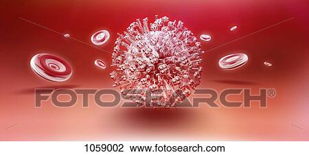 Influenza virus particle surrounded by some floating red blood cells View Large Illustration Drawing - Influenza virus particle surrounded by some floating red blood cells. Fotosearch