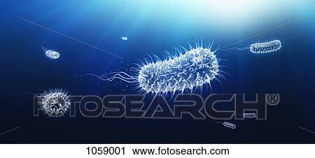 Microscopic view of bacilli bacterium swimming through body View Large Illustration Clip Art - Microscopic view of bacilli bacterium swimming through body. Fotosearch
