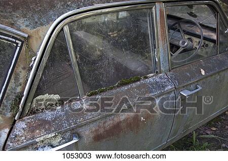 Moss growing on an abandoned rusty car View Large Photo Image Stock Image - Moss growing on an abandoned rusty car. Fotosearch