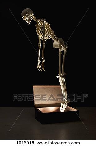 Skeleton flies out of the box. View Large Illustration Stock Illustration - Skeleton flies out of the box.. Fotosearch