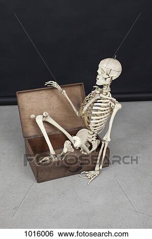 Skeleton getting out of the box. View Large Illustration Stock Illustration - Skeleton getting out of the box.. Fotosearch