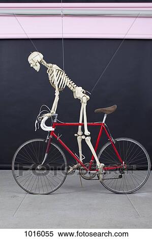 skeleton on a bike. View Large Illustration Stock Illustration - skeleton on a bike.. Fotosearch