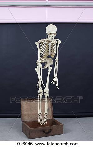 Skeleton rise out of the box View Large Illustration Stock Illustration - Skeleton rise out of the box. Fotosearch