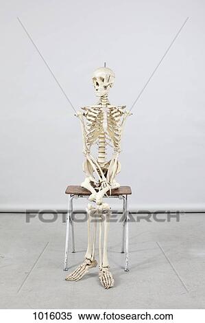 Skeleton sitting comfortably View Large Illustration Stock Illustration - Skeleton sitting comfortably. Fotosearch